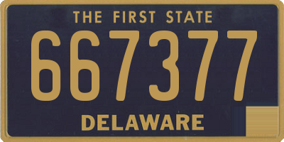 DE license plate 667377