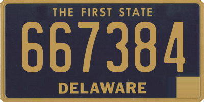 DE license plate 667384