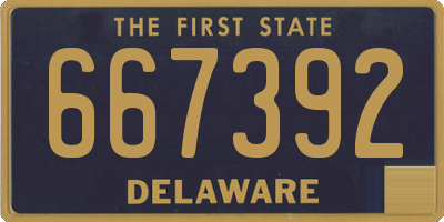 DE license plate 667392