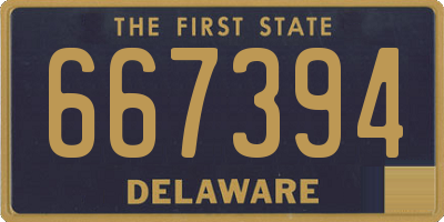 DE license plate 667394