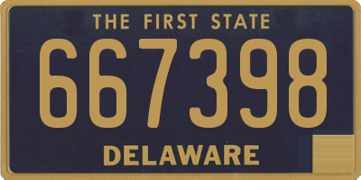 DE license plate 667398
