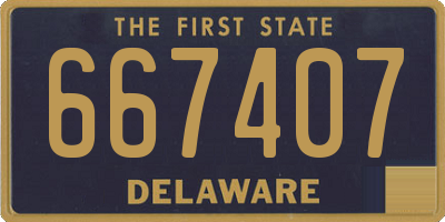DE license plate 667407