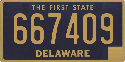 DE license plate 667409