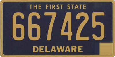 DE license plate 667425
