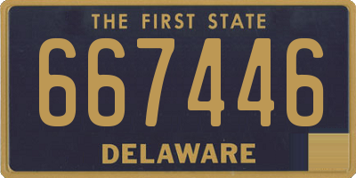 DE license plate 667446