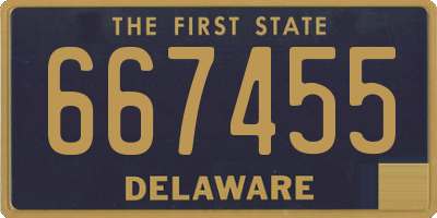 DE license plate 667455