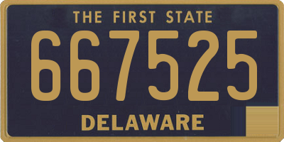 DE license plate 667525
