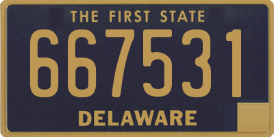 DE license plate 667531