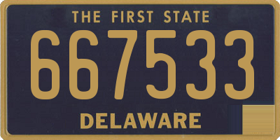 DE license plate 667533