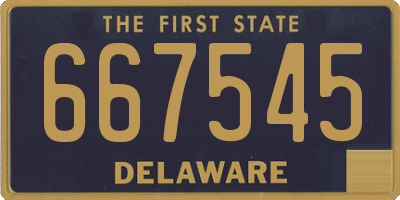 DE license plate 667545