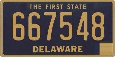 DE license plate 667548