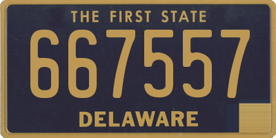 DE license plate 667557