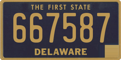 DE license plate 667587