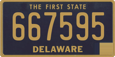 DE license plate 667595