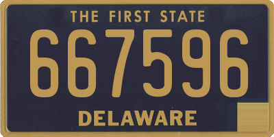 DE license plate 667596