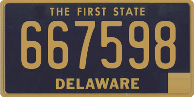 DE license plate 667598