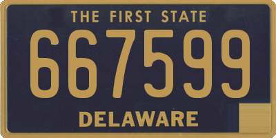 DE license plate 667599