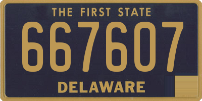 DE license plate 667607