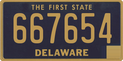 DE license plate 667654