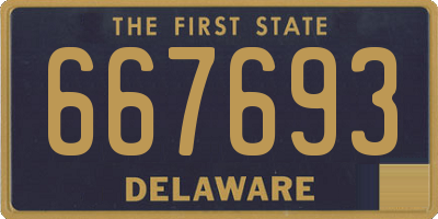 DE license plate 667693