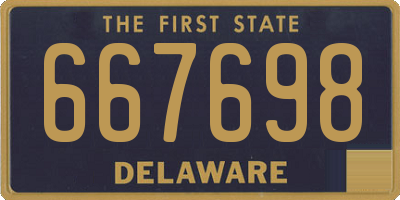 DE license plate 667698
