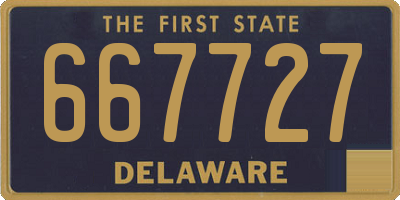 DE license plate 667727