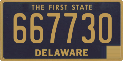 DE license plate 667730