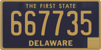 DE license plate 667735