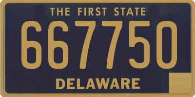 DE license plate 667750