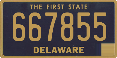 DE license plate 667855