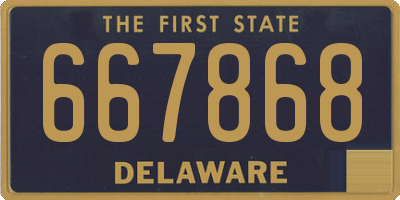 DE license plate 667868