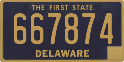 DE license plate 667874