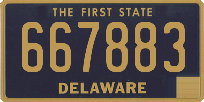 DE license plate 667883