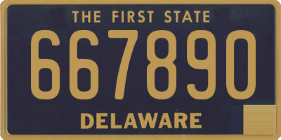 DE license plate 667890