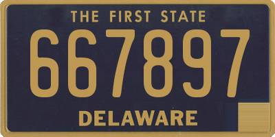 DE license plate 667897