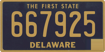 DE license plate 667925