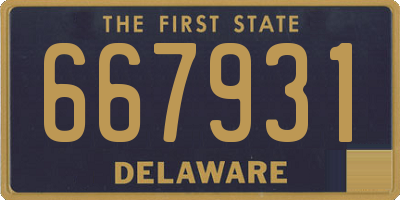 DE license plate 667931