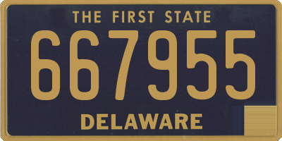 DE license plate 667955