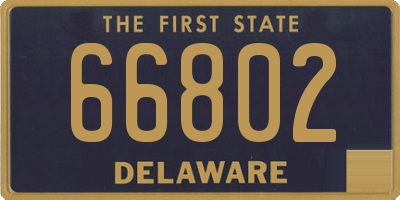 DE license plate 66802