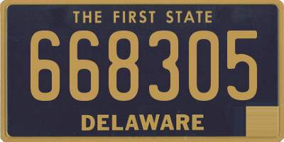 DE license plate 668305