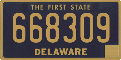 DE license plate 668309