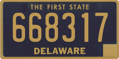 DE license plate 668317