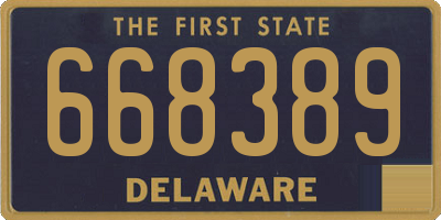 DE license plate 668389