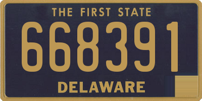 DE license plate 668391