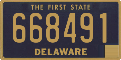 DE license plate 668491