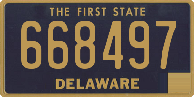 DE license plate 668497
