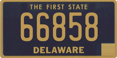 DE license plate 66858