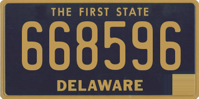 DE license plate 668596
