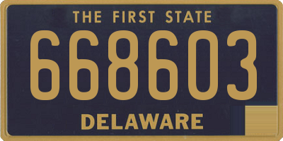 DE license plate 668603