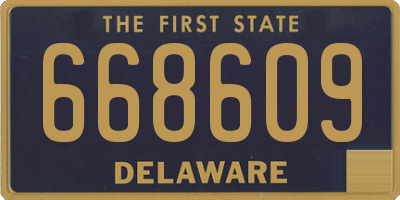 DE license plate 668609